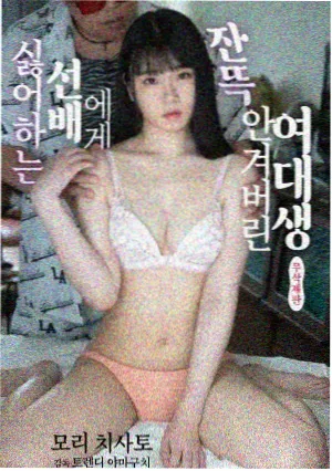 编辑推荐经典老歌合集